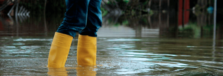LEPTOSPIROSE – O perigo pode estar próximo em época de chuva